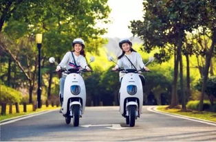 4月15日后電動(dòng)車、三輪車上牌指南 你最關(guān)心的問(wèn)題都在這